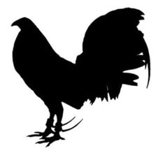 Logo Pelea de Gallos